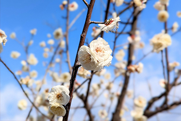 【跟著節氣過生活 雨水】