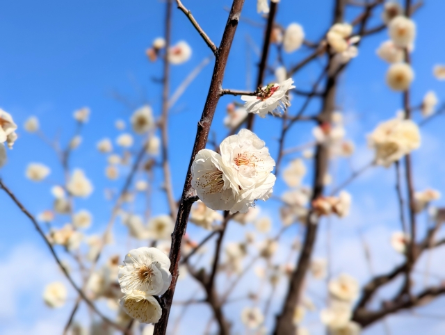 【跟著節氣過生活 雨水】