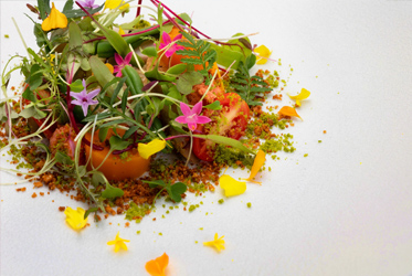 旬を味わう、伊豆のコンテンポラリーフレンチ