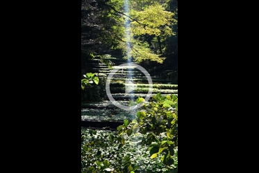 Explore Japan’s Izu Peninsula with a local guide