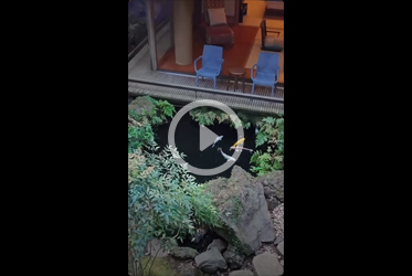 「プロが選ぶ日本のホテル旅館100選」連続入選の御礼