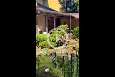 Seasons of Izu: An Invitation to Return