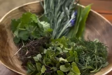新鮮香草茶