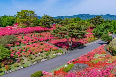 小室山公園