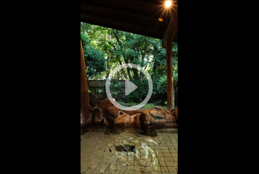 癒しの湯宿