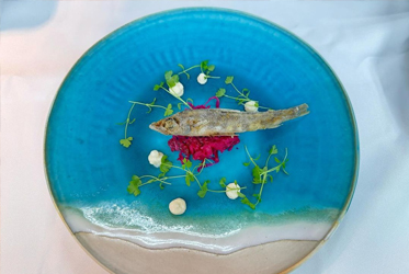 「陶藝 x 洋食」絕美饗宴：伊豆海景盤上盛開的美味