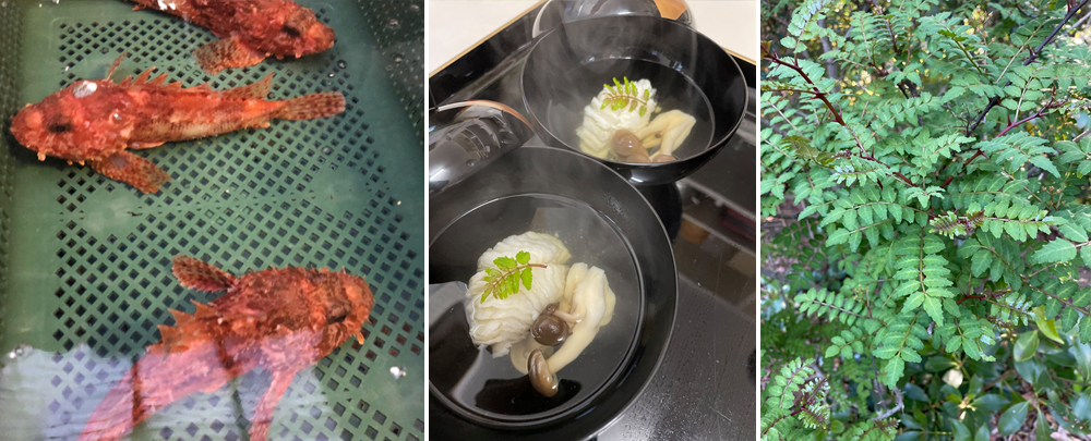 【ABBA Resorts Izu-坐漁荘　和食処さくらからのご案内】