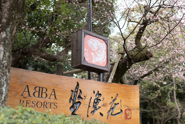 櫻花報春