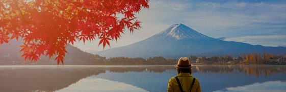 安伯國際旅行社
